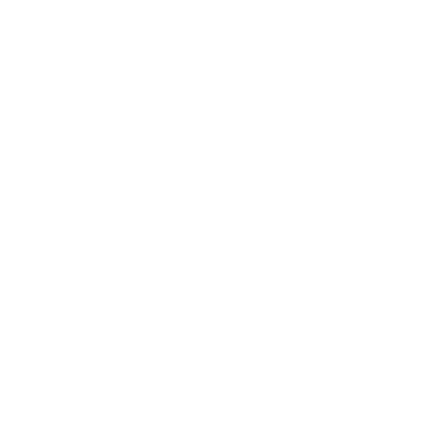 Professionelle Reinigungsmittel und Equipment